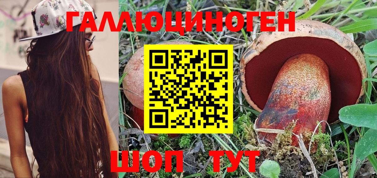 Моздок  Галлюциногенные грибы мицелий  Вход с VPN  Галлюциногенные грибы MAGIC MUSHROOMS 